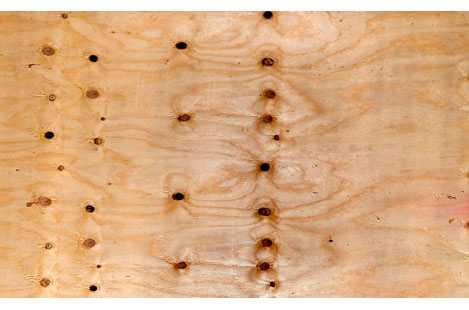 Eucaply - Structural Plywood